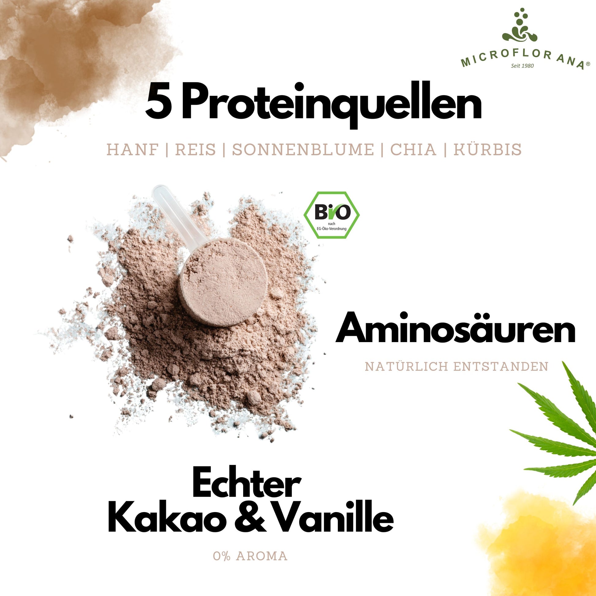 Choco Qi – Veganes Proteinpulver 62,5 % Eiweiß Bio
