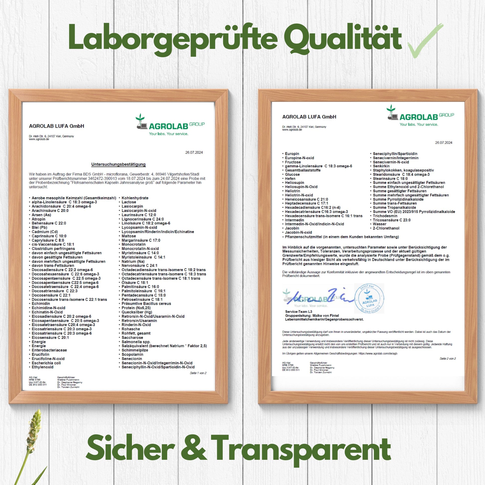 Flohsamenschalen Kapseln 400 Stück (244 g)