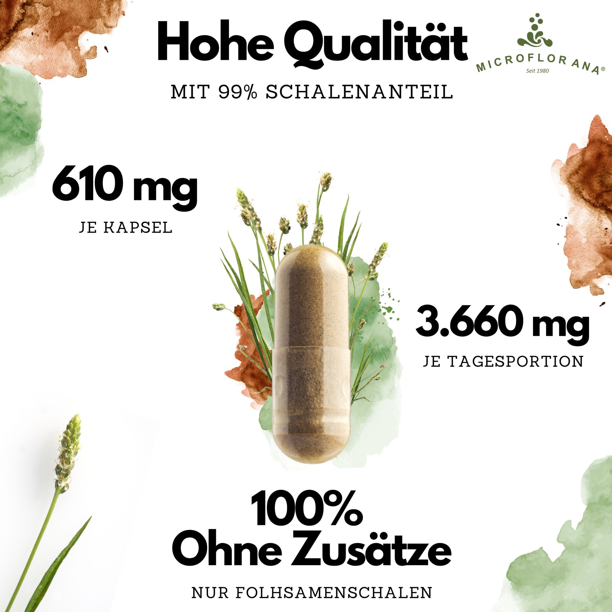Flohsamenschalen Kapseln 400 Stück (244 g)