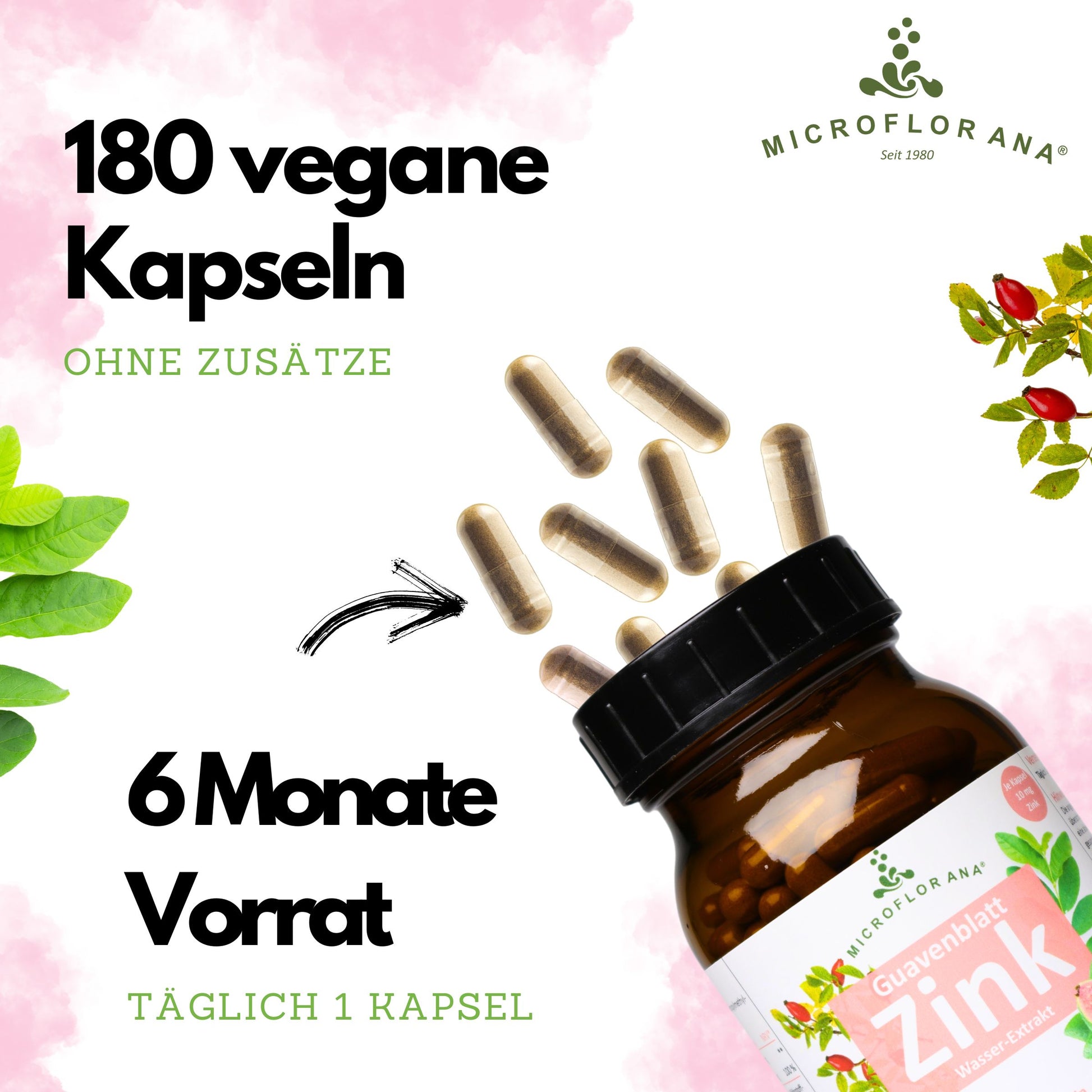 Guavenblatt Zink 180 Kapseln– Natürliches Zink – Zink Kapseln