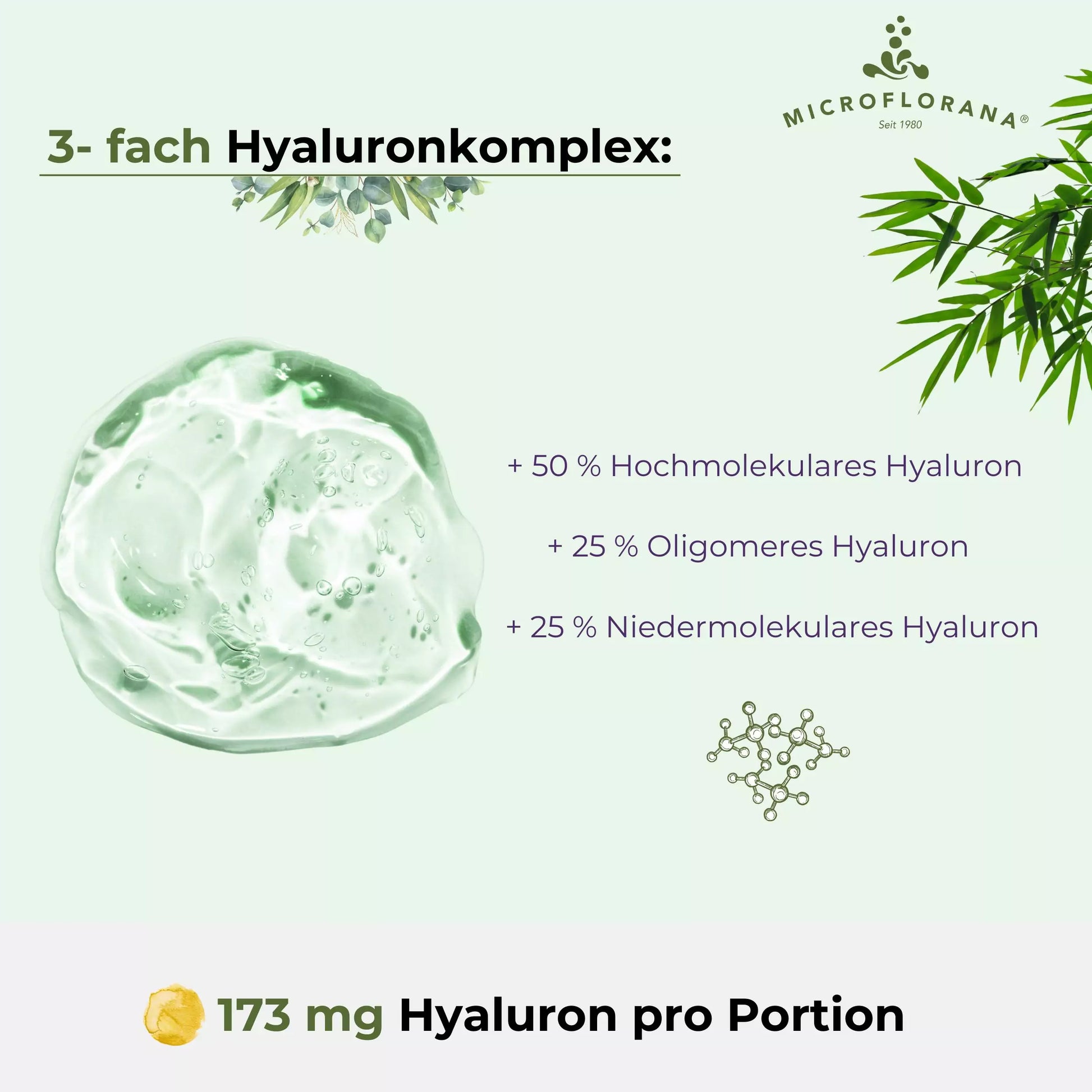 Hyaluron Drink Plus – 3 -fach Hyaluronkomplex mit Aminosäuren aus 50 Zutaten – 500 ml