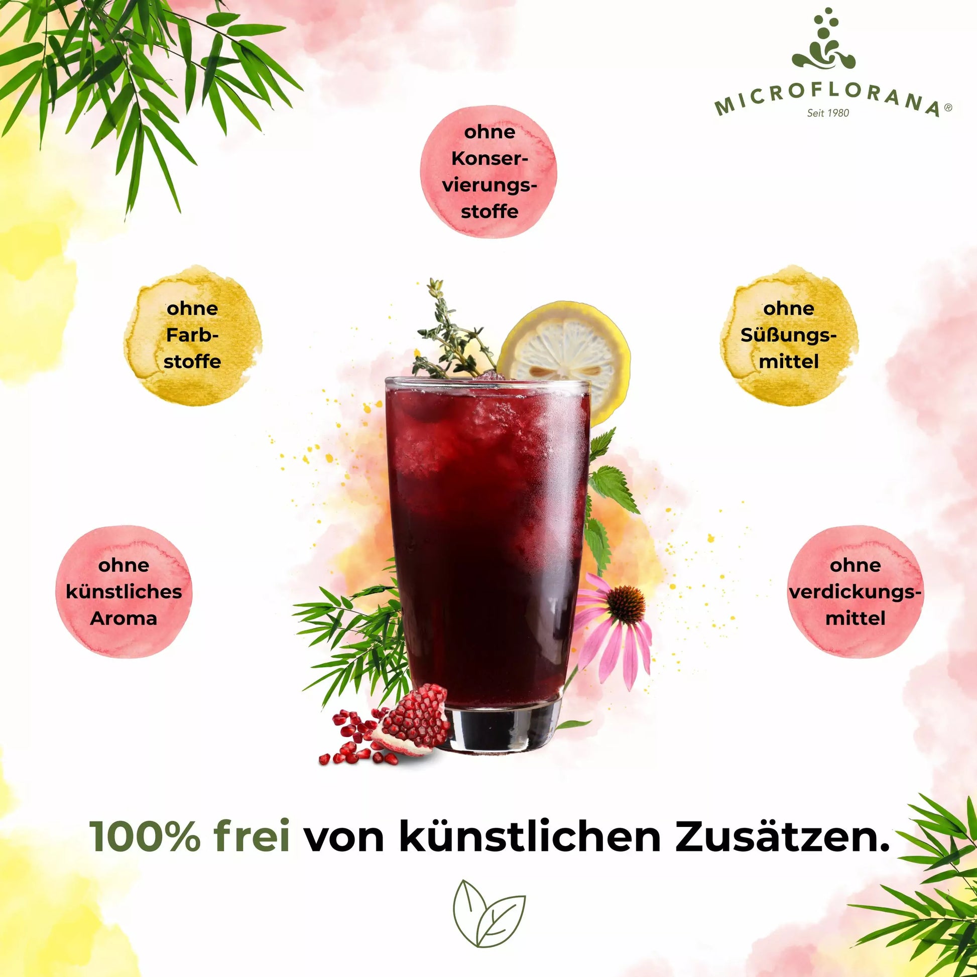 Hyaluron Drink Plus – 3 -fach Hyaluronkomplex mit Aminosäuren aus 50 Zutaten – 500 ml