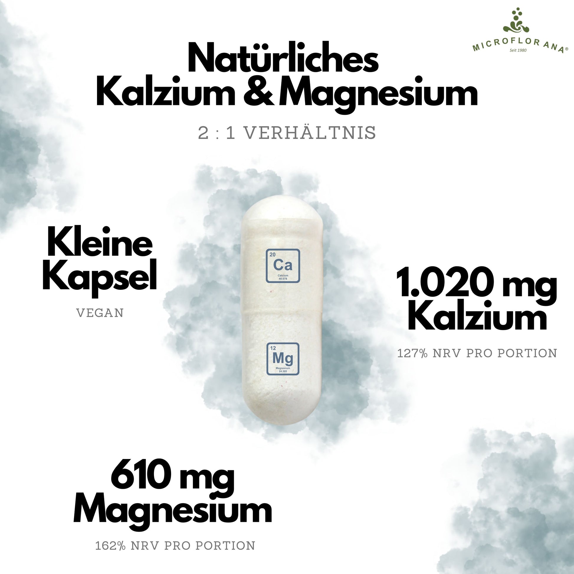 Korallen Qi – 150 vegane Kapseln – Natürliches Kalzium & Magnesium hochdosiert