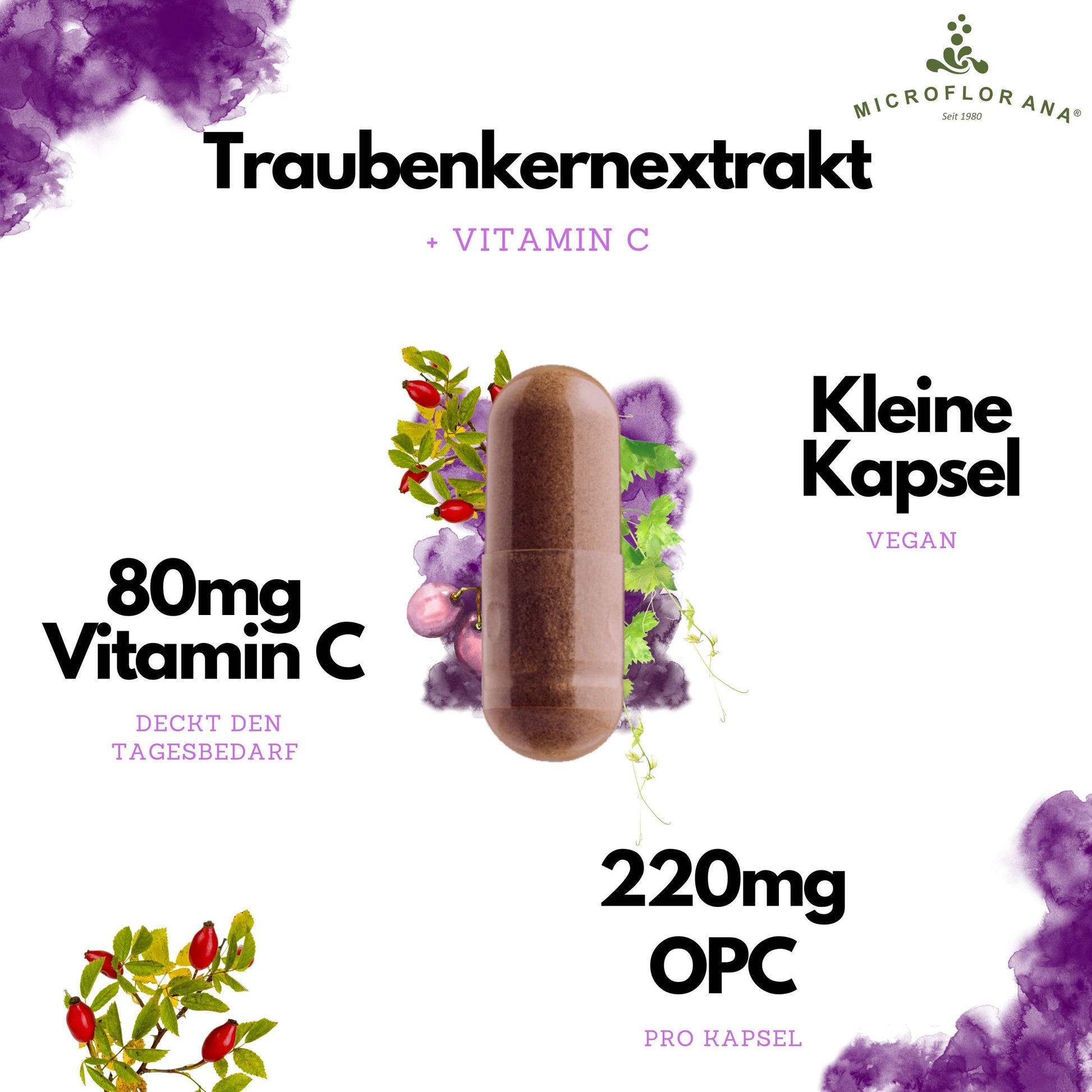 OPC Kapseln mit Vitamin C – 240 Kapseln