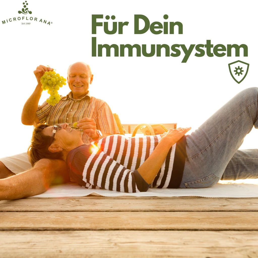 OPC Kapseln mit Vitamin C – 240 Kapseln